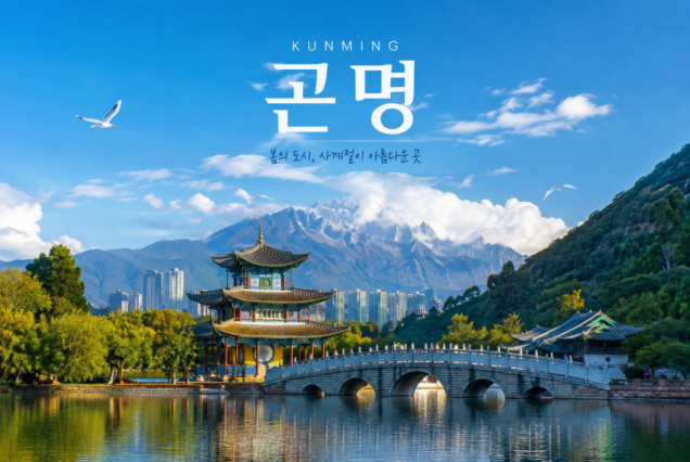 청주 → 곤명, 차마고도 4박5일(열차왕복)
